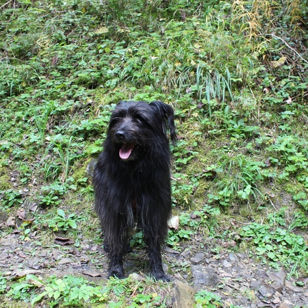 Im Allgäu (2)